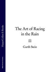 The Art of Racing in the Rain