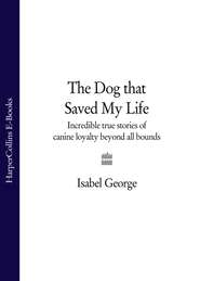 The Dog that Saved My Life: Incredible true stories of canine loyalty beyond all bounds