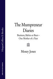 The Mumpreneur Diaries: Business, Babies or Bust - One Mother of a Year