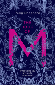 The Book of M