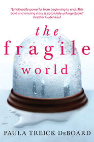 The Fragile World