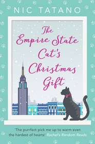 The Empire State Cat’s Christmas Gift