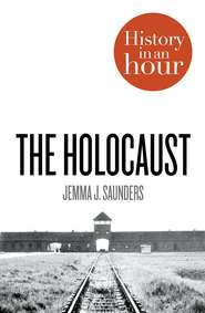 The Holocaust: History in an Hour