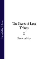 The Secret of Lost Things