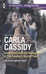 Snowbound with the Bodyguard & The Cowboy's Secret Twins: Snowbound with the Bodyguard / The Cowboy's Secret Twins