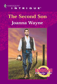 The Second Son