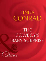 The Cowboy's Baby Surprise