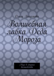 Волшебная лавка Деда Мороза. Мир в стране волшебства