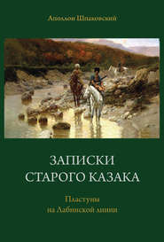 Записки старого казака. Пластуны на Лабинской линии