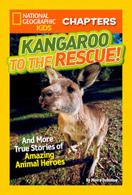 National Geographic Kids Chapters: Kangaroo to the Rescue!: And More True Stories of Amazing Animal Heroes