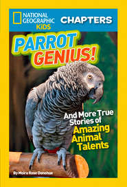 National Geographic Kids Chapters: Parrot Genius: And More True Stories of Amazing Animal Talents