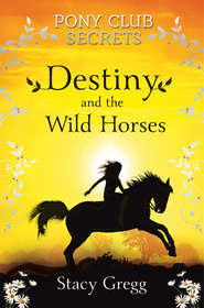 Destiny and the Wild Horses