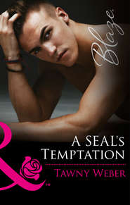 A SEAL's Temptation