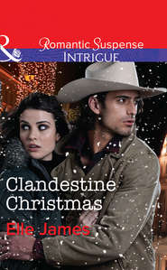 Clandestine Christmas