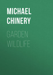 Garden Wildlife