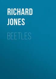 Beetles