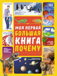 Моя первая большая книга ПОЧЕМУ