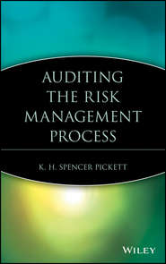 Auditing the Risk Management Process