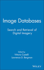 Image Databases