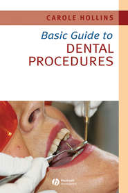 Basic Guide to Dental Procedures