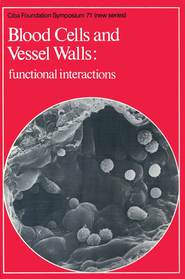 Blood Cells and Vessel Walls