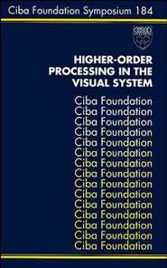 Higher-Order Processing in the Visual System