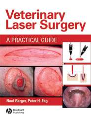 Veterinary Laser Surgery