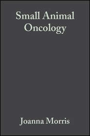 Small Animal Oncology