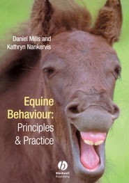 Equine Behaviour