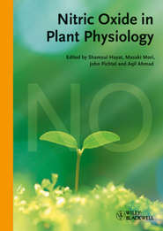 Nitric Oxide in Plant Physiology