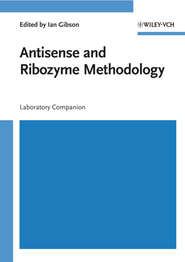 Antisense and Ribozyme Methodology