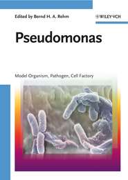 Pseudomonas