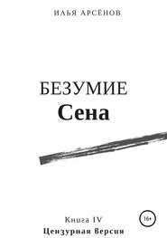 Сен. Книга четвертая. Безумие Сена