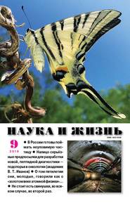 Наука и жизнь №09/2019