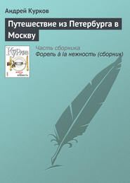 Путешествие из Петербурга в Москву