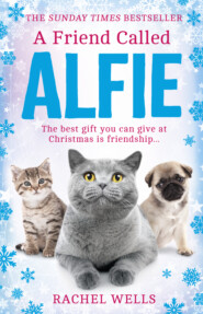 A Friend Called Alfie