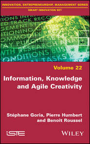 Information, Knowledge and Agile Creativity