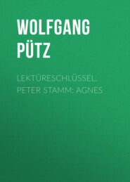 Lektüreschlüssel. Peter Stamm: Agnes