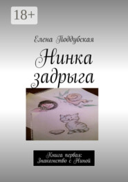 Нинка задрыга. Книга первая: Знакомство с Ниной