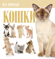 Кошки