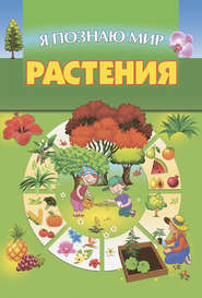 Растения