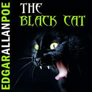 The Black Cat