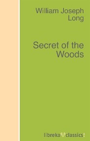 Secret of the Woods