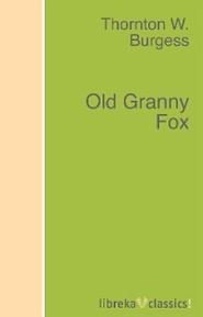 Old Granny Fox