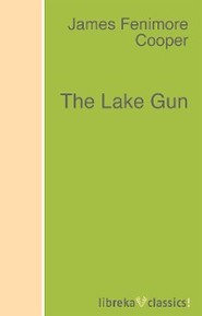 The Lake Gun