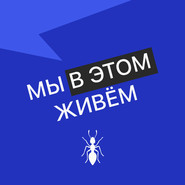 Выпуск № 62 s05 — Пельменный стартап