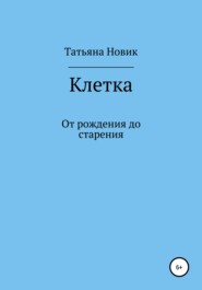 Клетка: от рождения до старения