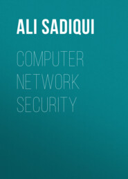 Computer Network Security