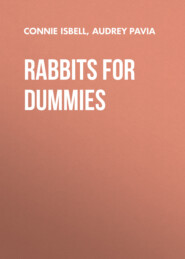 Rabbits For Dummies