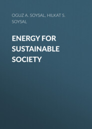 Energy for Sustainable Society